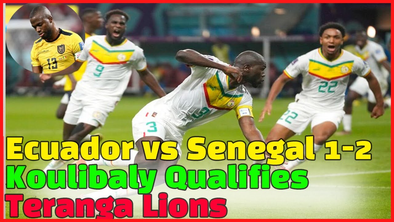 Sports News | Ecuador Vs Senegal 1-2: Koulibaly Qualifies Teranga Lions ...