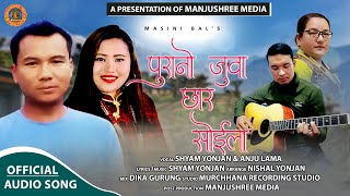 Purano Juwa Chhar Soila - Shyam Yonjan & Anju Lama || New Tamang Khandoke Selo Song 2024