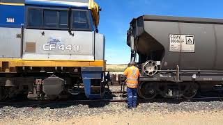 CF4411, CF4412 \u0026 CF4405 couple to SGMY wagons at Bogan Gate NSW.  Mon 19th Feb 2024