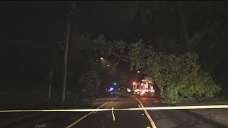 Tree Down On West Paces Ferry In Buckhead