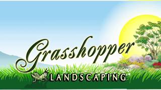 Grasshopper Landscaping and Maintenance