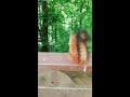 莫斯科小松鼠能喂还能摸 超近距离观察松鼠吃榛子 russian squirrels let you touch them