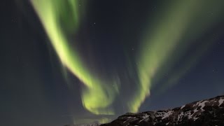 AURORA BOREALIS - Polarlichter über Island (c) Falk Sischka