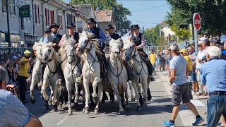 PLAN D'ORGON Concours d'Abrivado et Festival de Bandido 20/08/2023