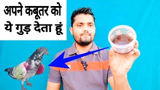 Kabutar ki sambhal ke liye gud kaise banaye।कबूतर की संभाल के लिए गुड़ बनाने का तरीका ।