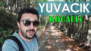 YUVACIK GEZİSİ - KOCAELİ GEZİLECEK YERLER