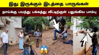 இது போல் இடங்களிலும் பாம்புகள் இருக்கும் | இது சர்வ சாதாரணமாக காம்பவுண்ட் சுவர் ஏறும் | Snake_Saga