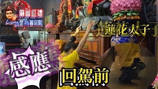 協聖宮南巡｜靈動｜下營九龍太子宮