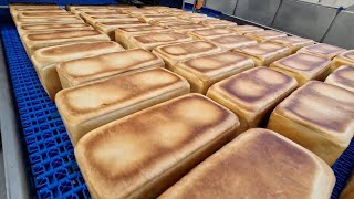 Tinbread line with maximum capacity of 8.500 breads per hour | Royal Kaak