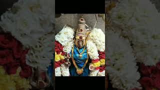 நத்தம் மாரியம்மன் கோவில் திருவிழா கொடியேற்றம்