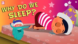 Why Do We Sleep? The Dr. Binocs Show | Best Learning Videos For Kids | Peekaboo Kidz