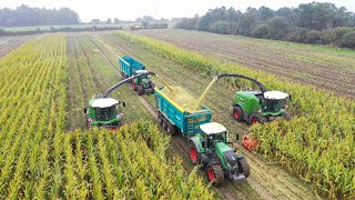 Démonstrations ensileuse Fendt katana 850 \u0026 650 avec la team servipro 🌽💯