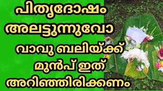 പിതൃദോഷം അകലാനും വാവു ബലി ഇടുന്നതിന് മുൻപ് അറിയണം |vavubali| karkkidaka vavu |