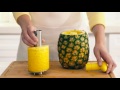 Sur La Table Pineapple Corer and Slicer