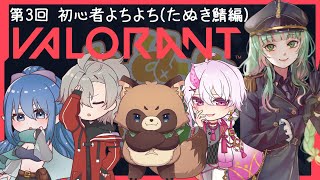 【VALORANT】本日はたぬき鯖メンバーとらしいぞ【コラボ】