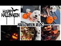 HALLOWEEN VLOG | CARVE PUMPKIN | NACHOS | FELLA