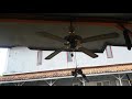 Niko Decorative Ceiling Fan Test