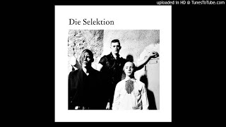 Die Selektion - Muskelberg [a+w cd001]