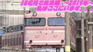 2019年3月15日 JR貨物 EF81形 電気機関車 retired electric locomotive