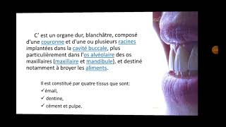 MED DENTAIRE Odontologie Conservatrice بالعربية(1) L'Organe Dentaire (Part 1 Histologie de l''émail)