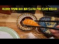 창원맛집 가로수길 가성비 최고 초밥집 창원 즈노스시