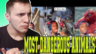 MOST DANGEROUS ANIMALS ON EACH CONTINENT! | CASUAL GEOGRAPHIC | **REACTION**