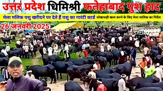 धिमिश्री पशु हाट फतेहाबाद | dhimShri Pashu Mandi | buffalo for sale dhimShri | Pashu Mela