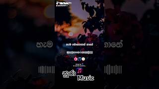 ඔබ සිහිවෙන හැම මොහොතක් ගානේ❤️#love #coversong #song