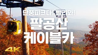 🎧 【4K】 단풍피크다! 빨리와! 팔공산케이블카