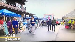 東由利軽トラ市 黄桜すいコス