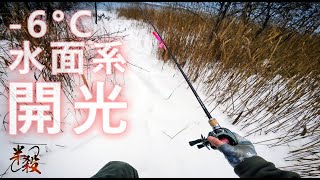 在冬天【倔强】的使用水面系，給 24 Steez SV TW 開光！（新年大吉） #半殺 #路亞 #釣魚