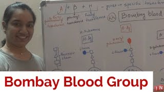 Bombay Blood Group – A Rare Blood Group