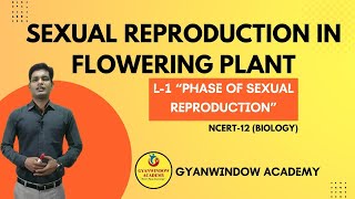 Sexual Reproduction in Flowering Plant-L-1/phase of sexual reproduction/Gyanwindow Academy