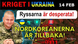 14 FEB: BILDER: VANSINNING 16-TIMMARS STRID MED NORDKOREANER. | Kriget i Ukraina förklaras