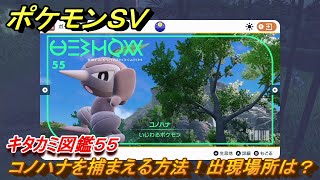 ポケモンＳＶ　コノハナの出現場所は？　キタカミ図鑑５５　ポケモン図鑑を完成させよう！　＃９９　【DLCゼロの秘宝　碧の仮面・藍の円盤】