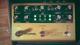 Strymon Volante on Bass #20