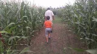 Maze at Maple Hill Urban Farm