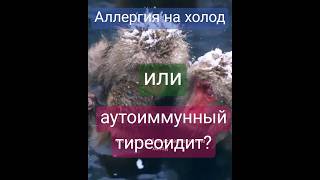 Аллергия на холод или аутоиммунный тиреоидит? #карнивор #кетодиета #медицина #факты #кето #shorts