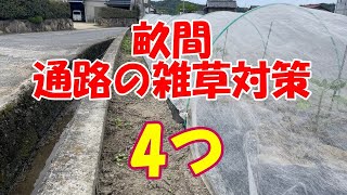 畝間や通路をなるべく雑草が生えない状態にする方法4つ