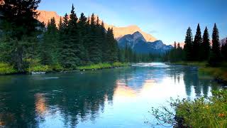 Calm Mountain River flowing in Elk Valley 4k. Relaxing River Sounds, Nature Whit