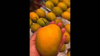 Ratnagiri mango#shortvideo #youtube #food