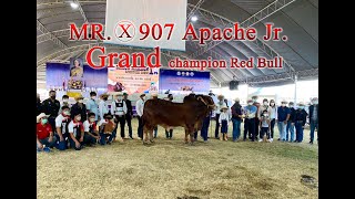 MR. X 907 Apache Jr