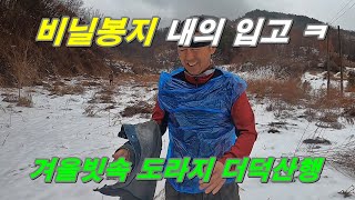 겨울비 맞으면서 도라지 더덕산행 #약초산행