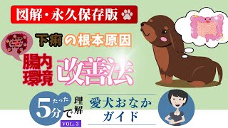 意外と大事な腸のこと！愛犬の腸内フローラケアしてますか？【獣医師監修】 犬 下痢 血便 嘔吐 原因 犬 腸内環境