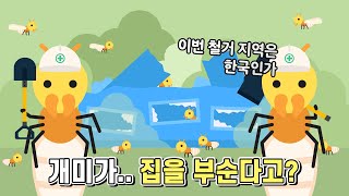 비상!! 집도 부수는 외래종 흰개미 대한민국 상륙?