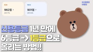 1년 만에 신용등급 6등급에서 1등급, 신용점수 관리 하는 법