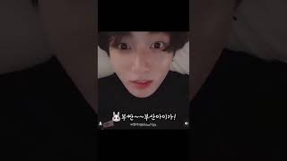 [BTS]🐰부산아이가~!