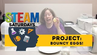 S.T.E.A.M. Saturday - Bouncy Eggs!