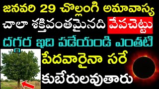 జనవరి 29 చల్లంగి అమావాస్య చాలా శక్తివంతమైనది వేపచెట్టు దగ్గర ఇది పడేయండి ఎంతటిపేదవారైనా సరే కుబేరులు