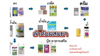 ผสมยายังไงให้ถูกต้อง ผสมยาให้ได้ประสิทธิภาพสูงสุด #ลำดับผสมยา #ผสมยาให้ถูก